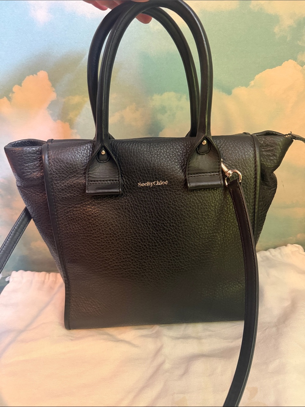 See by Chloe 2 way Shoulder bag